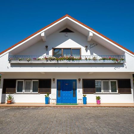 Refugio Rural - Eco Villa Caldas Da Rainha Eksteriør billede
