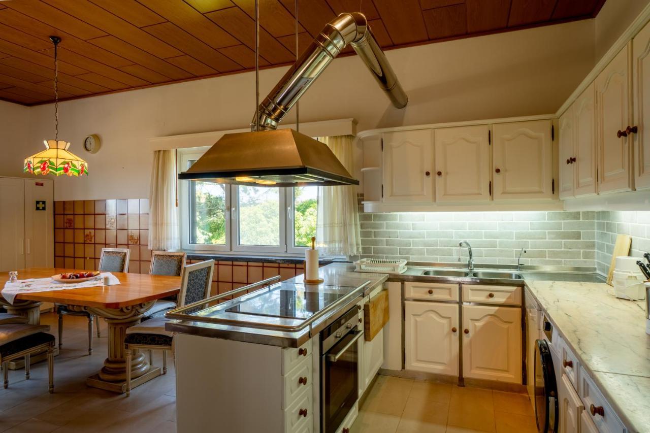 Refugio Rural - Eco Villa Caldas Da Rainha Eksteriør billede
